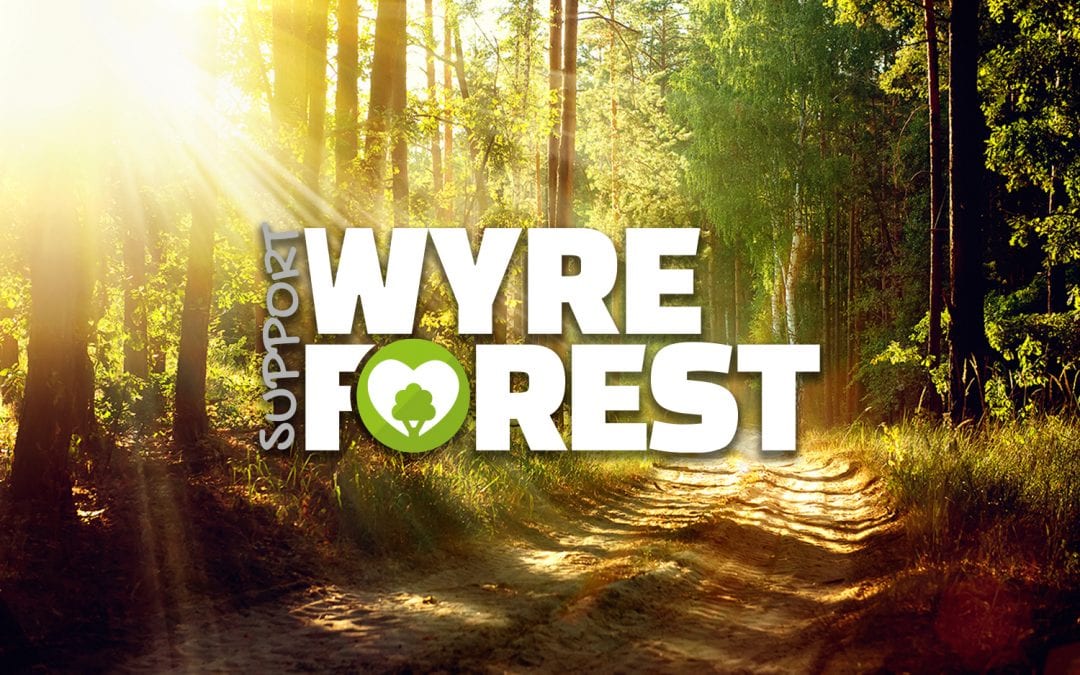 Supporting Wyre Forest Businesses